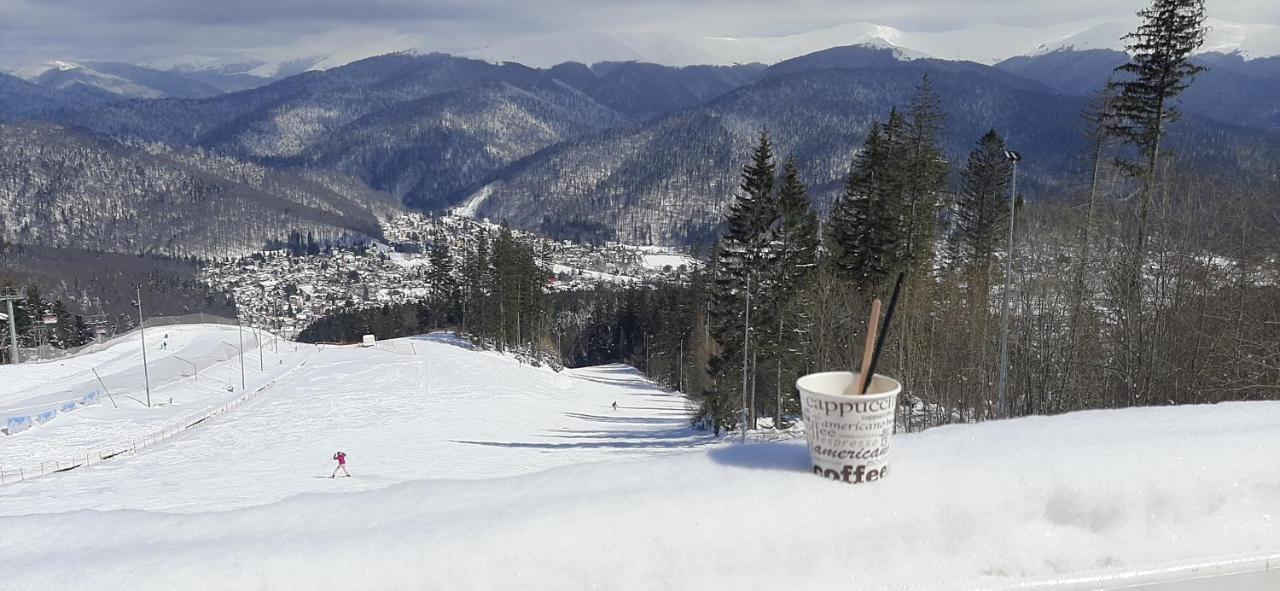 Kalinderu SKIER'S APARTAMENT BELLEVUE Buşteni Exterior foto