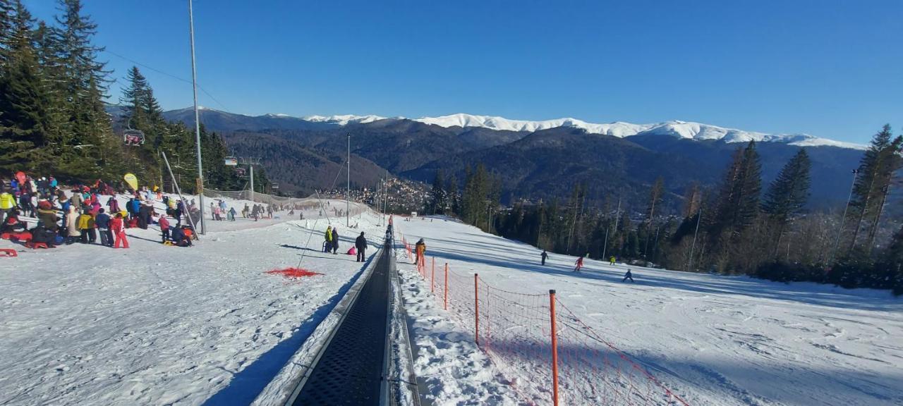 Kalinderu SKIER'S APARTAMENT BELLEVUE Buşteni Exterior foto