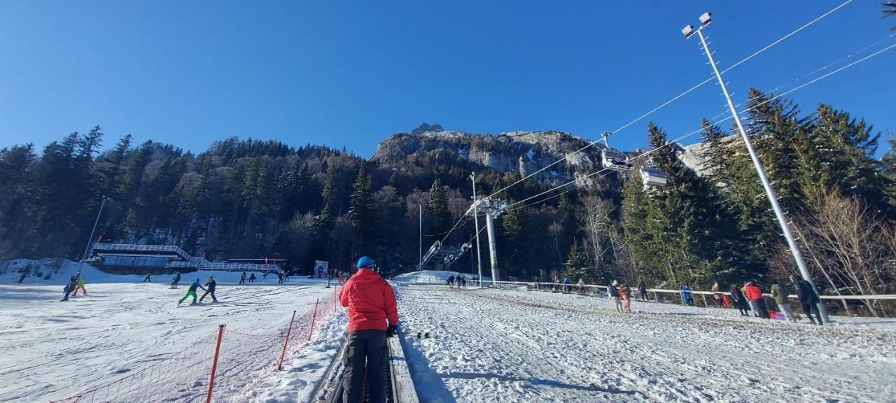 Kalinderu SKIER'S APARTAMENT BELLEVUE Buşteni Exterior foto