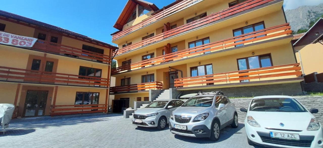 Kalinderu SKIER'S APARTAMENT BELLEVUE Buşteni Exterior foto
